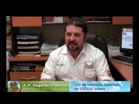 Tema: SINIIGA - YouTube