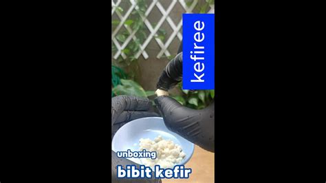 Unboxing Bibit Kefir Kefiree Youtube