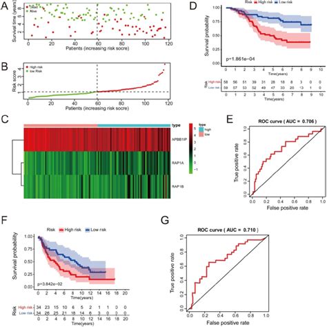 Cox Regression Analysis And Identification Of A Prognostic Signature In