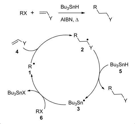 Scheme 1. Addition of C-radicals at olefins (Giese reaction ...