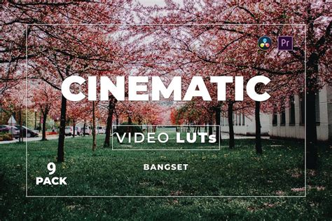 25 Lut Terbaik Untuk Premiere Pro Gratis Sinematik Pro Lut Film