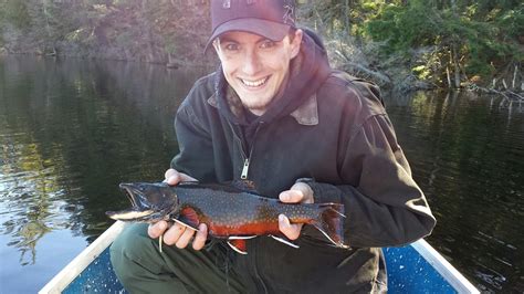 Fall Brook Trout In The Adirondacks Rflyfishing