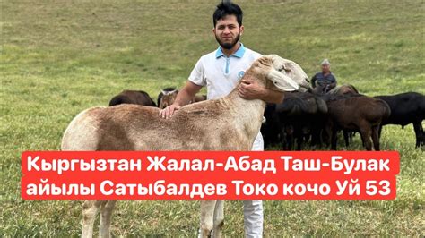 Кыргызтан Жалал-Абад Таш-Булак айылы Сатыбалдев Токо кочо Уй 53 - YouTube