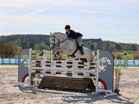 National Hunter Vittel Rond Pr Equitation Centre Questre Et D