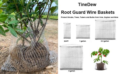 Amazon Tinedew Gopher Wire Baskets Root Guard Gopher Basket