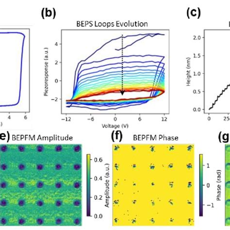 A Polarization Electric Field Hysteresis Loop Of A Representative