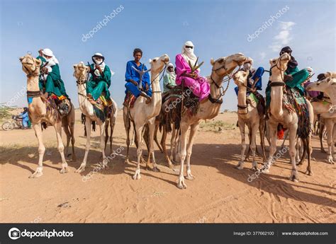 Tuareg People Traditional Clothes Sitting Camels Sahara Desert Stock