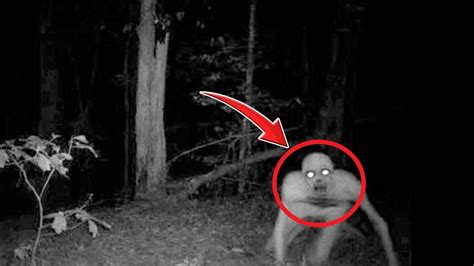 TOP 5 SCARIEST Things Caught On Camera In The Woods YouTube