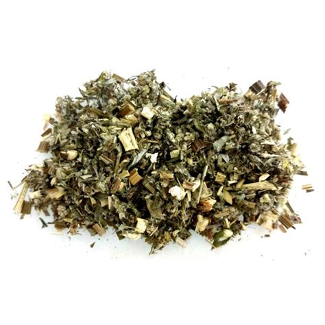 Bulk Mugwort Bulk Buy Herbs Mugwort Dried Herb Apothecary Etsy