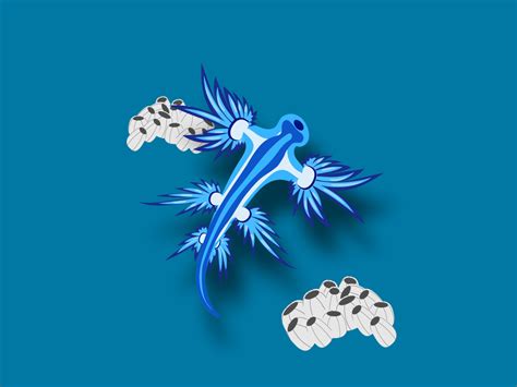 Blue Glaucus Sea Slug by Patrick Northey on Dribbble