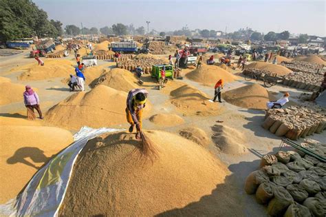 Grain Market In Amritsar