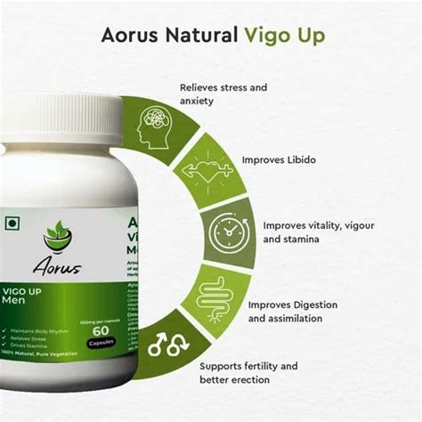 Male Sexual Wellness Vigo Up 60 Capsules At Rs 1780bottle Ayurvedic Energy Capsules In