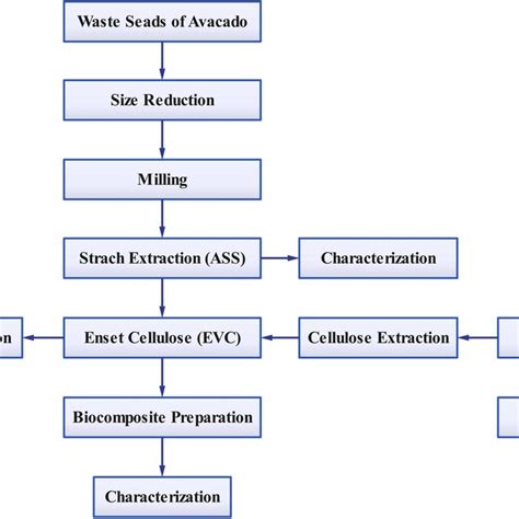 The Conceptual Process Flow For The Bio Composite Preparation