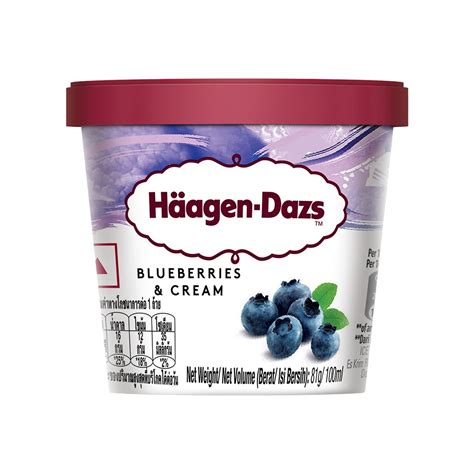 Haagen Dazs Blueberries And Cream Ice Cream Price Buy Online At ₹240 In