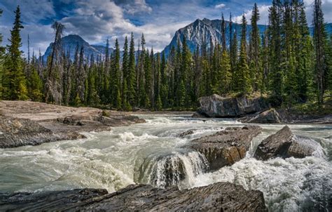 Wallpaper Forest Trees Mountains River Canada Canada British