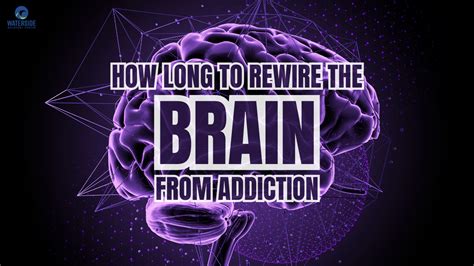 How Long To Rewire The Brain From Addiction Learn Here