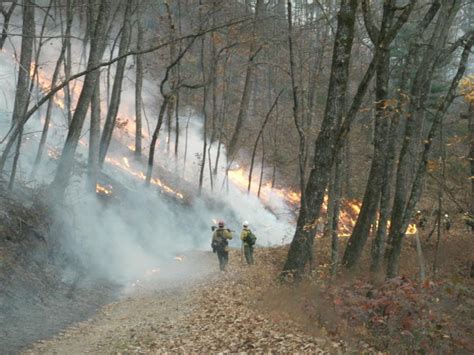 May 2: Fire Ecology Outdoor Seminar & Hike – MountainTrue