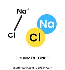 Sodium Chloride Table Salt Chemical Structure Vector Image Off