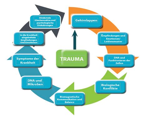 HEILE DEIN TRAUMA UND BRINGE DEINEN KÖRPER UND SEELE WIEDER IN BALANCE