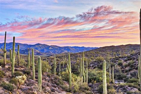 Phoenix Arizona Must Visit Spots And Hidden Gems Via Best Places