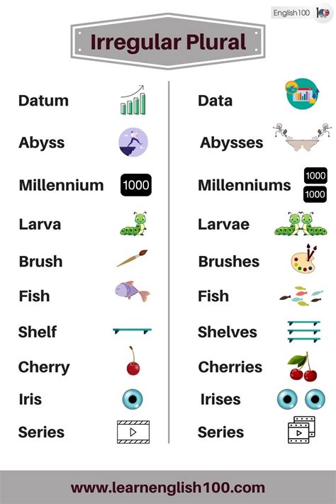 The List Of Most Common Irregular Plural Nouns In English And Their