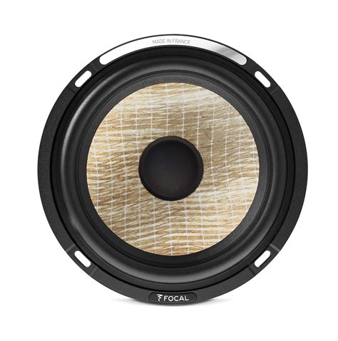 PS 165 FE | Focal America