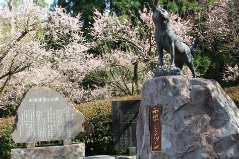 西郷隆盛愛犬ツンの銅像｜九州への旅行や観光情報は九州旅ネット