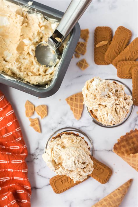 Easy No Churn Gingerbread Ice Cream The Gingered Whisk