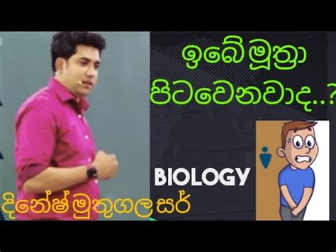 Dinesh Muthugala Sir Jokes Biology Youtube