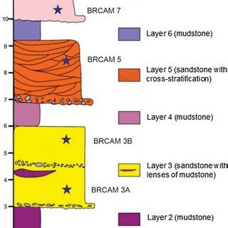 Histogram Showing The Number Of Zircon Grains Of The Analyzed Samples