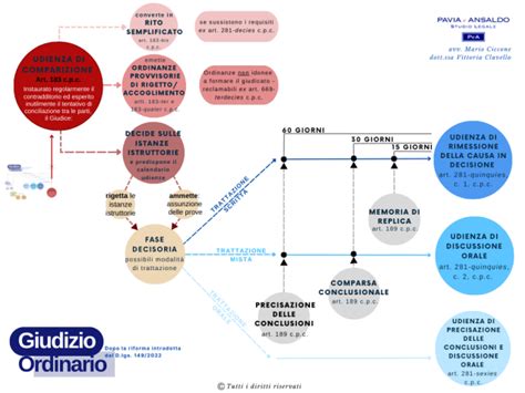 Riforma Del Processo Civile Schema Sulla Fase Istruttoria E Decisoria