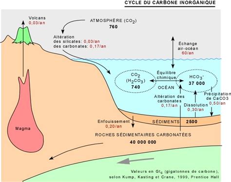 Le Cycle Du Carbone