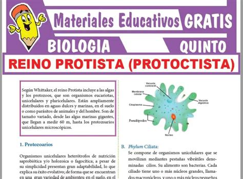 Mapa Mental Sobre El Reino Protista Unn Bd Porn Sex Picture 19116 The