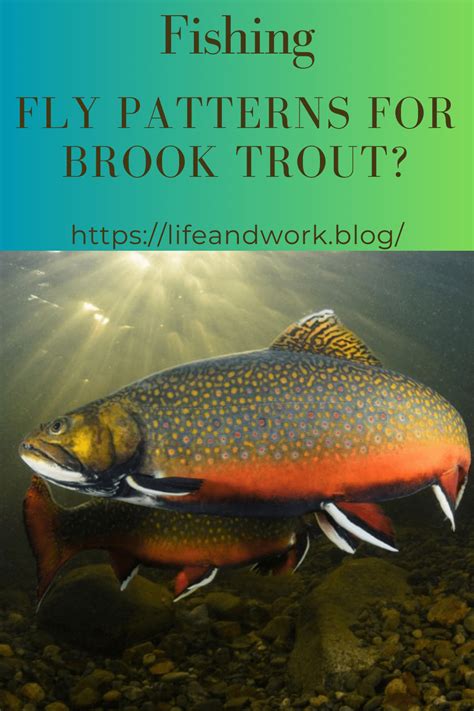 Fly Patterns For Brook Trout