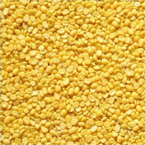 Washed Yellow Organic Splited Moong Dal Origin India At Best Price In