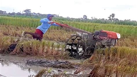 Joki Traktor Kecape An Mengolah Lahan Sawah Yang Sangat Panjang Sekali