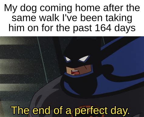 Making A Meme Out Of Every Batman Tas Episode Day 37 Rconroybatmanmemes