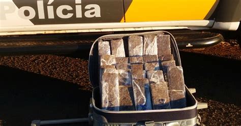 G1 Polícia apreende tabletes de maconha dentro de mala em Penápolis