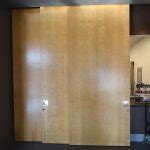 Hot Press Veneer Professionals Non Warping Patented Wooden Pivot Door