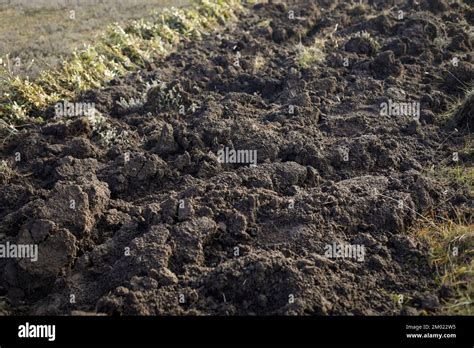 Shallow Depth Of Field Selective Focus Details With Tillage Land