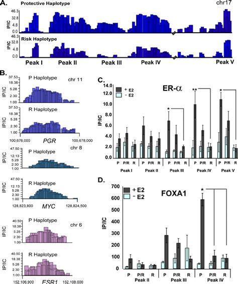 Choline Deficiency Syndrome Associated Risk Allele Fails To Bind ER A