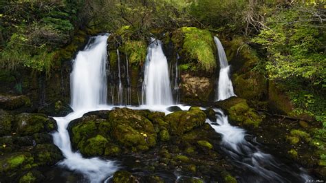 Beautiful Waterfalls Between Green Algae Covered Rocks Pouring On River In Forest Hd Nature