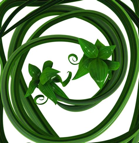 Plants vines Images - Search Images on Everypixel
