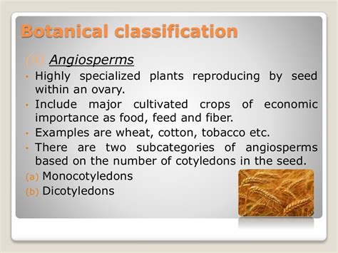 Classification of field crops