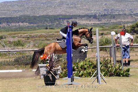 DSC4410 Perseverance Chase Andreavallejos Flickr