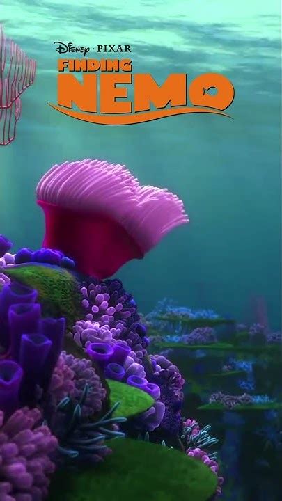 Nemos Egg From Finding Nemo Thomas Newman Youtube