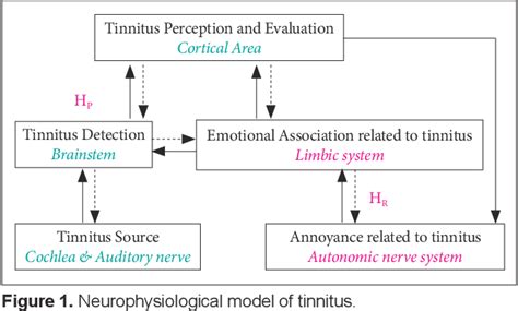 Figure 1 From Tinnitus Retraining Therapy Protocol Semantic Scholar