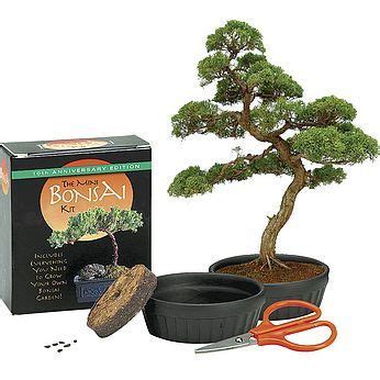 The Mini Bonsai Kit Mini Bonsai Bonsai Garden Bonsai