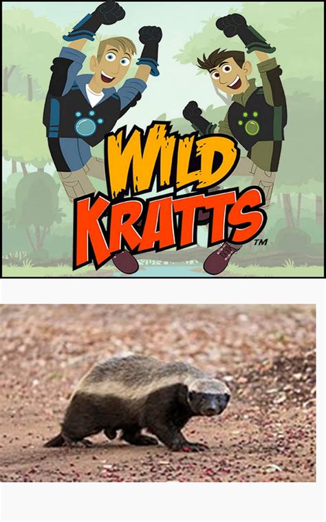 The Wild Kratts Learn about Honey badger by scottyiam on DeviantArt