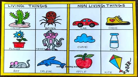Living And Non Living Things Drawing In Simple And Easy Steps Diy